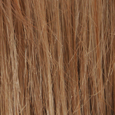 24/14 - Ash Blonde with Light Honey Blonde Frost