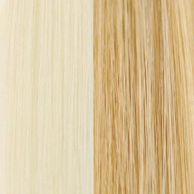 223H - Light Golden Blonde with Pale Blonde Highlights